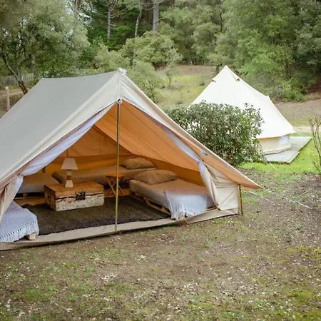 Le Spot Saint-trojan Camping *