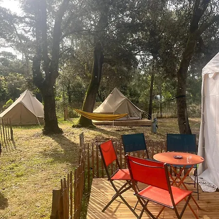 Camping Le Spot Saint-trojan *