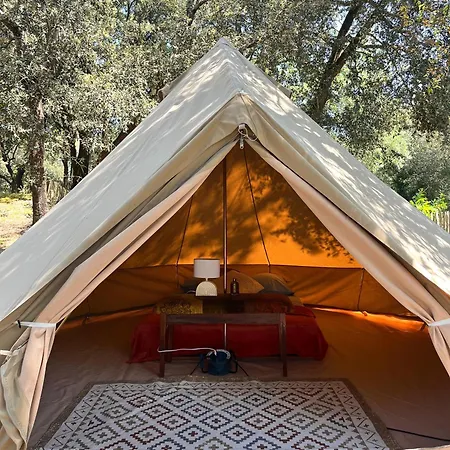 Le Spot Saint-trojan *