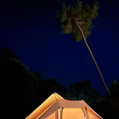 Camping Le Spot Saint-trojan Saint-Trojan-les-Bains