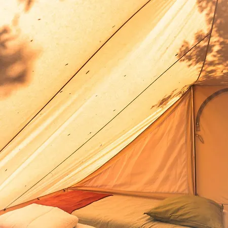 Camping Le Spot Saint-trojan *