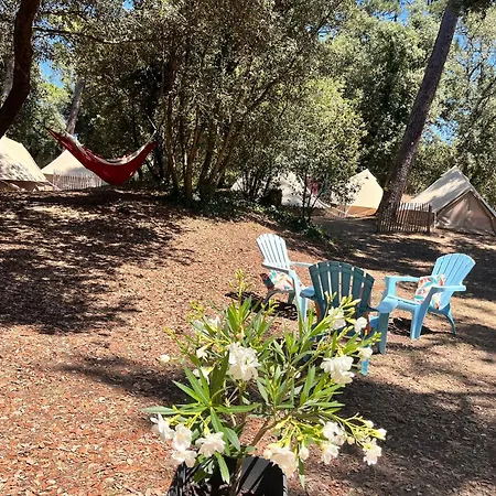 Le Spot Saint-trojan *