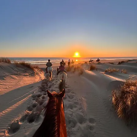 Le Spot Saint-trojan Camping *