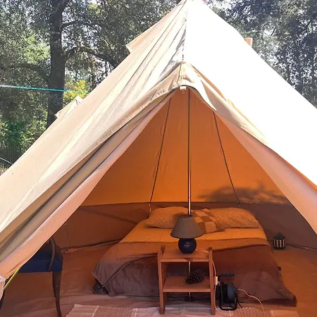 Le Spot Saint-trojan Saint-Trojan-les-Bains