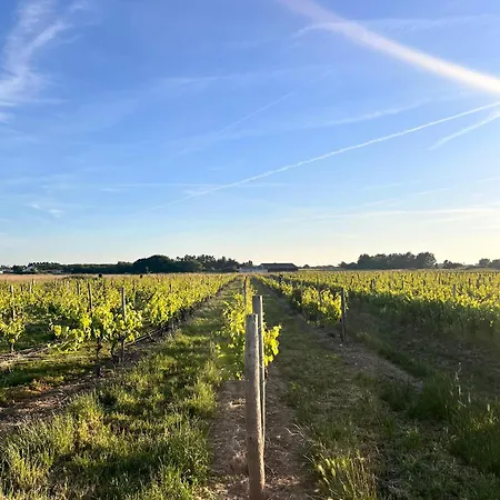 Campeggio Le Spot Saint-trojan Saint-Trojan-les-Bains