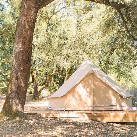 Le Spot Saint-trojan Campeggio *